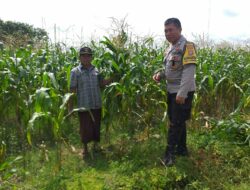 Dukung Ketahanan Pangan, Bhabinkamtibmas Dorong Pemanfaatan Lahan