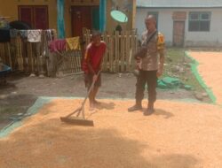 Bhabinkamtibmas Desa Rababaka Pantau Panen Jagung di Dusun Saleko