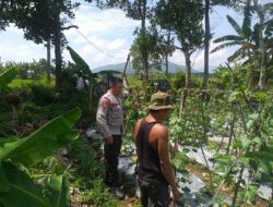 Sinergi Polri dan Petani: Wujud Nyata Ketahanan Pangan