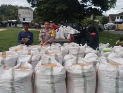 Bhabinkamtibmas Desa Ta’a Pantau Penjemuran Jagung, Dukung Ketahanan Pangan Nasional