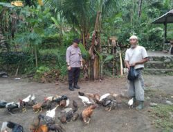 Sinergi Polri & Warga: Pekarangan Jadi Sumber Pangan Mandiri