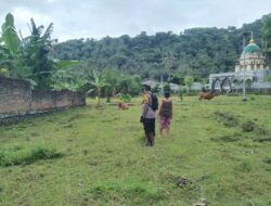 Pemanfaatan Lahan Pekarangan Jadi Fokus Bhabinkamtibmas di Batulayar Barat