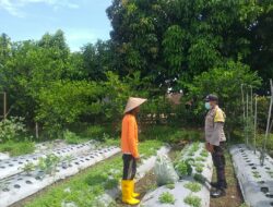 Bhabinkamtibmas Ajak Warga Jagaraga Mandiri Pangan