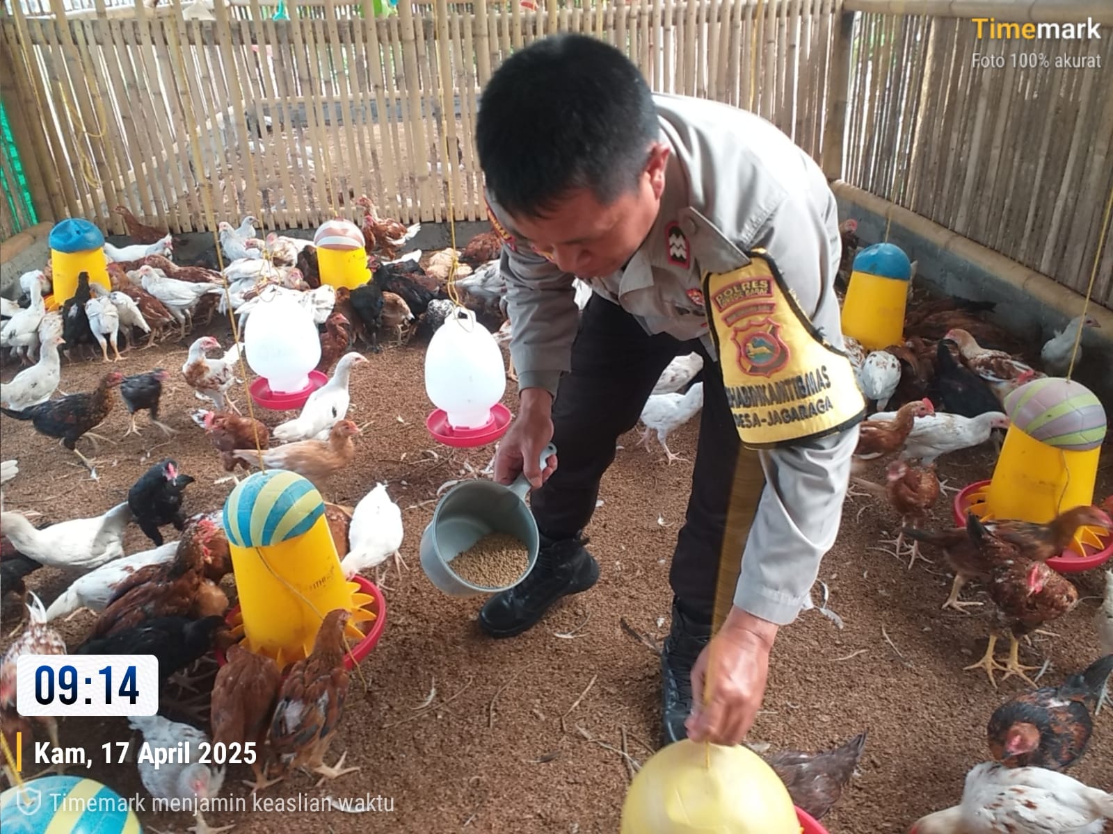 Bhabinkamtibmas Kuripan Aktif Sosialisasi Ketahanan Pangan ke Peternak Ayam