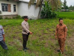 Sinergi Bhabinkamtibmas dan Warga Bangun Ketahanan Pangan di Kuripan Utara