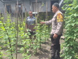 Guna Mendukung Ketahanan Pangan, Bhabinkamtibmas Ikut Bantu Serta Motivasi Warga Buat Kebun Sayur di Rhee