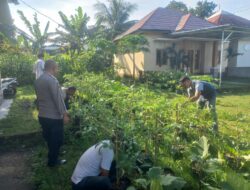 Polsek Pringgarata Manfaatkan Lahan untuk Pekarangan Bergizi, Dukung Asta Cita Presiden RI