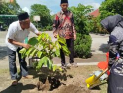 Simbol Pelestarian Lingkungan, MTsN 2 Mataram Gelar Penanaman Pohon Matoa.