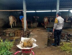 Dekatkan Diri ke Warga, Bhabinkamtibmas Dorong Usaha Ternak