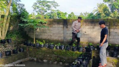 Polisi dan Pemuda Bersatu Jaga Lingkungan dan Dorong Ketahanan Pangan di Kuripan