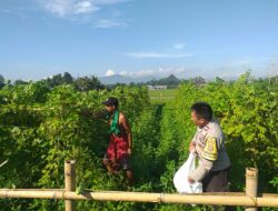 Dukung Program Nasional, Bhabinkamtibmas Sosialisasikan Ketahanan Pangan