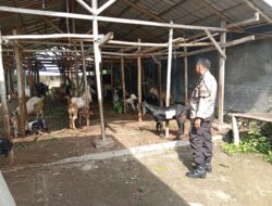 Sinergi Polri dan Warga Wujudkan Ketahanan Pangan Berkelanjutan