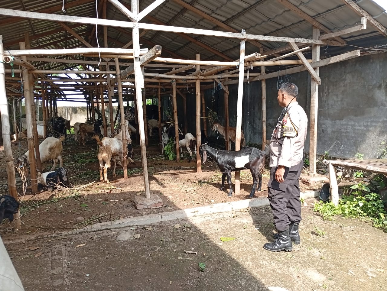 Sinergi Polri dan Warga Wujudkan Ketahanan Pangan Berkelanjutan