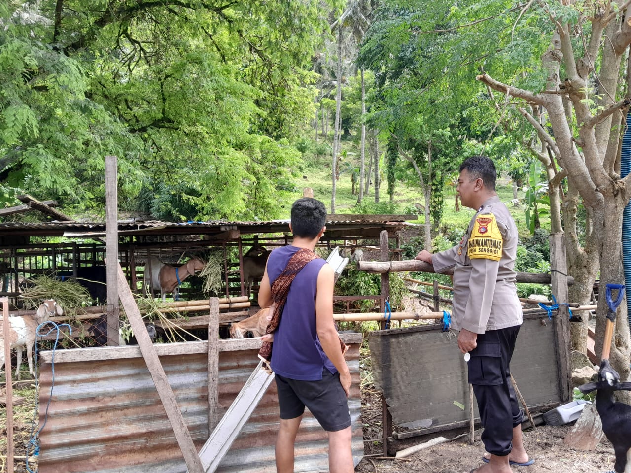 Inspiratif! Bhabinkamtibmas Gerakkan Kemandirian Pangan Desa