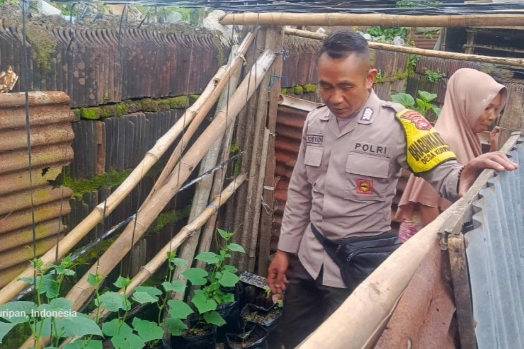 Sinergi Polri dan Masyarakat Lombok Barat Wujudkan Ketahanan Pangan Lokal