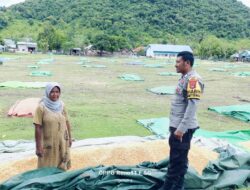 Polsek Hu’u Pantau Kegiatan Jemur Jagung Warga sebagai Dukungan Program Ketahanan Pangan Nasional