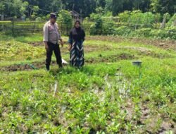 Bhabinkamtibmas Desa Baka Jaya Pantau Lahan Hortikultura Dukung Program Ketahanan Pangan Nasional