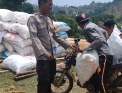 Dukung Ketahanan Pangan, Bhabinkamtibmas Kelurahan Nitu Lakukan Pengecekan Hasil Panen Jagung Petani