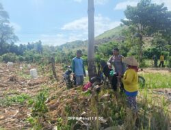 Bhabinkamtibmas Desa Adu Pantau Pengeringan Jagung, Dukung Ketahanan Pangan Menuju Indonesia Emas