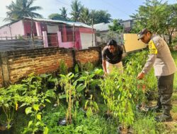 Optimalisasi Pekarangan, Bhabinkamtibmas Nowa Pantau Pengolahan Lahan Sayur Warga