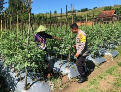 Dukung Ketahanan Pangan Menuju Indonesia Emas 2045, Bhabinkamtibmas Dorong Warga Tanam Sayur di Desa Katua