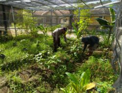 Bhabinkamtibmas Desa Bukit Damai Dampingi Warga Dukung Ketahanan Pangan Lewat Pemanfaatan Pekarangan