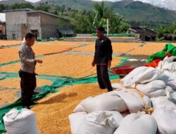 Dukung Indonesia Emas 2045, Mungkinkah Petani Lokal Jadi Penopang Ketahanan Pangan