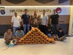 Polisi Gagalkan Peredaran 47 Kg Ganja di Sumbar, 4 Tersangka Ditangkap