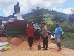 Bantu Proses Penggilingan Jagung Warga Upaya Bhabinkamtibmas Polsek Monta Sukseskan Ketahanan Pangan Nasional