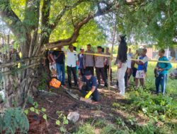 Tinggalkan Sebuah Pesan, Seorang Pria Ditemukan Gantung Diri Di Area Persawahan Moyo Hulu.