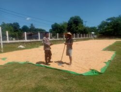 Bhabinkamtibmas Rasabou Pantau Persiapan Panen Jagung Warga di So Kuta 1