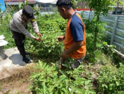 Dukung Ketahanan Pangan, Bhabinkamtibmas Desa Tuananga Monitoring Pekarangan Bergizi Warga Binaan
