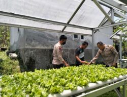 Gunakan Lahan Kosong Untuk Pekarangan Bergizi, Polres Loteng Apresiasi Masyarakat