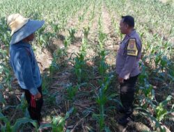 Bhabinkamtibmas Desa Bagik Polak Barat Dorong Kemandirian Pangan