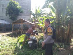 Peran Aktif Polri dalam Program Ketahanan Pangan Desa Montong Are