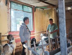 Sosialisasi Ketahanan Pangan: Bhabinkamtibmas Polsek Batulayar Berikan Edukasi pada Warga Batulayar Barat