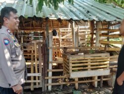 Dukung Kemandirian Pangan, Bhabinkamtibmas di Senggigi Aktif Edukasi Warga Desa