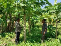 Sinergi Warga dan Polisi Gerakkan Pertanian Rumah Tangga