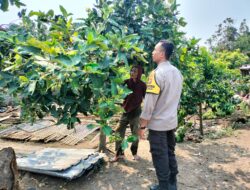 Polri dan Petani Bersatu Wujudkan Program Pangan Nasional di Lombok Barat