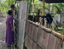 Kepolisian Batulayar Aktif Dukung Program Ketahanan Pangan Pemerintah