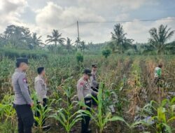 Polres Lombok Tengah Tinjau Lahan Jagung Warga, Perkuat Ketahanan Pangan Dukung Asta Cita Presiden RI