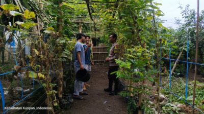 Polsek Kuripan Dorong Ketahanan Pangan Lewat Kolaborasi Pemuda