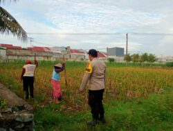 Sinergi Polri dan Warga Kembangkan Ketahanan Pangan Desa