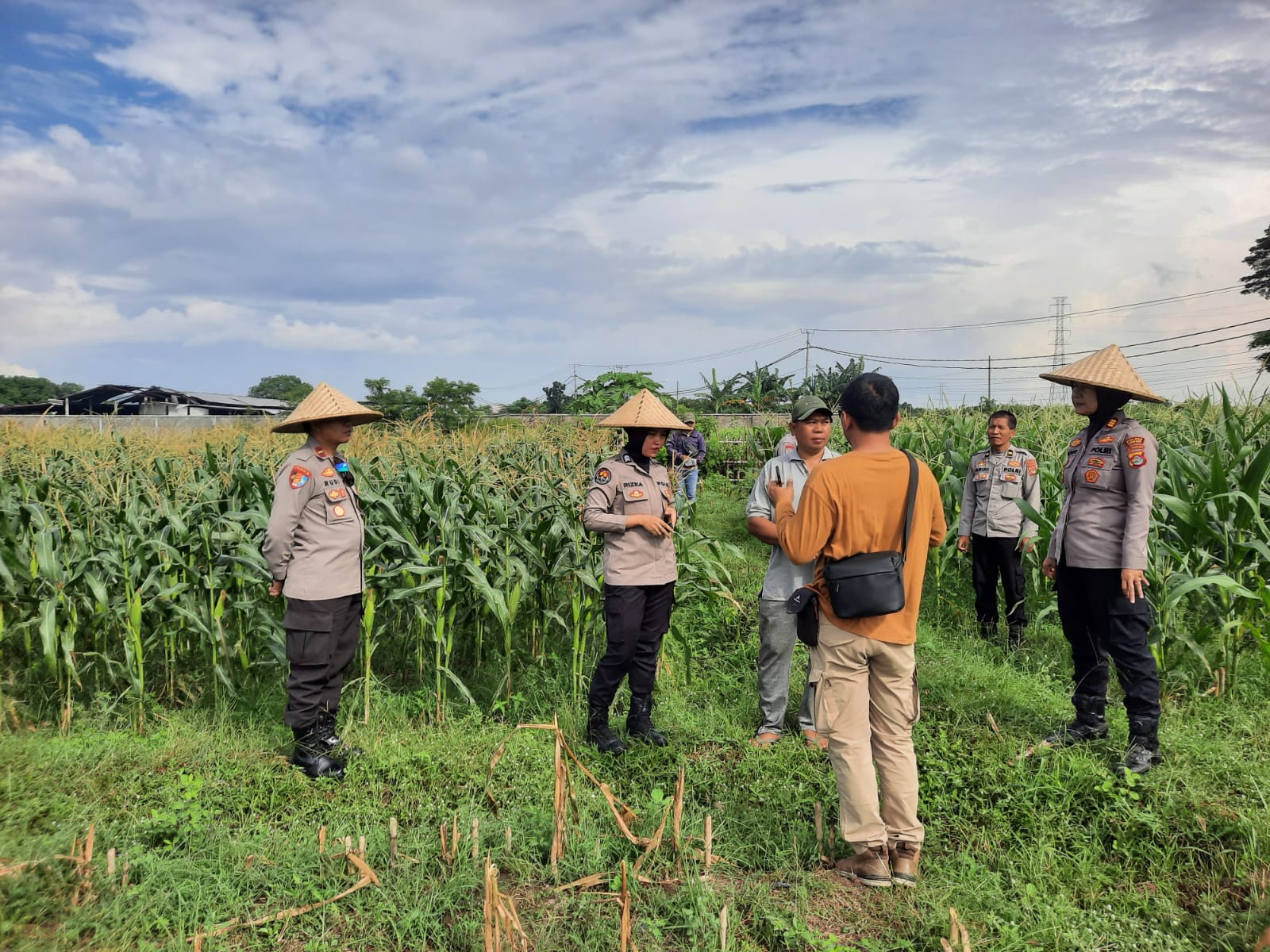 Polisi dan Petani Bersinergi: Kawal Panen Jagung Lombok Barat