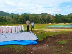 DDS Bhabinkamtibmas: Upaya Nyata Dukung Program Pangan di Sekotong