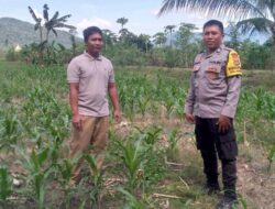 Bhabinkamtibmas Aktif Sosialisasi Ketahanan Pangan ke Warga Desa