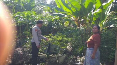 Polsek Kuripan Dorong Ketahanan Pangan Lewat Peran Aktif Bhabinkamtibmas