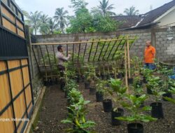 Bhabinkamtibmas Kuripan Sosialisasikan Pemanfaatan Lahan untuk Tanam Pangan