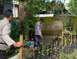 Bhabinkamtibmas Kuripan Edukasi Warga Soal Ketahanan Pangan Lokal