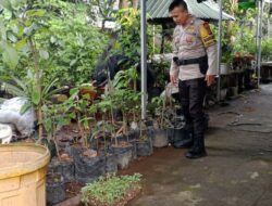 Ketahanan Pangan Nasional, Polsek Labuapi Turun Langsung ke Masyarakat